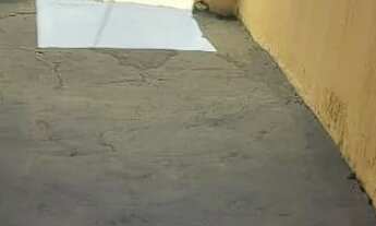 Imagem 9: Aluga-se casa Casa com 1 dormitório