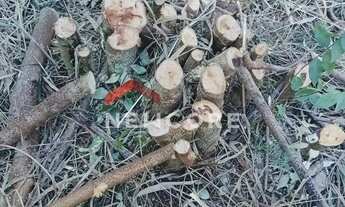 Imagem 5: Lote em Rua das Orquídeas - Loteamento Vale das Flores - Atibaia/SP