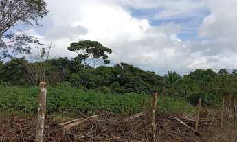 Imagem 3: Vendo excelente fazendinha em jaguaripe