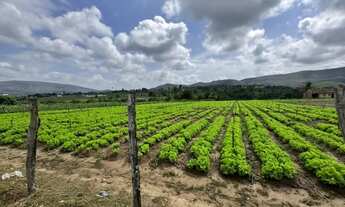 Imagem 2: Chácara Para venda com estrutura para aluguel e bem completa