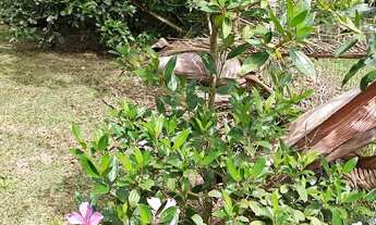 Imagem 4: Barbada Sítio em Condomínio Fechado