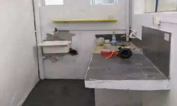 Imagem 4: Imóvel Comercial à venda na Moóca com 232m² 4 banheiros