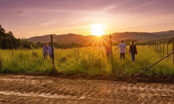 Imagem 7: Imóvel para venda possui 600 metros quadrados em Terra Preta (Terra Preta) - Mairiporã - S