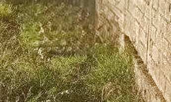 Imagem 4: Lote à Venda no Bairro São Cosme Belo Horizonte