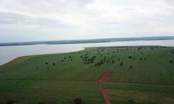 Imagem: FAZENDA NO MUNICÍPIO DE QUIRINÓPOLIS
