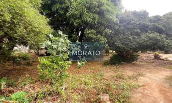 Imagem 2: Lote 400 metros quadrados no bairro Novo Progresso