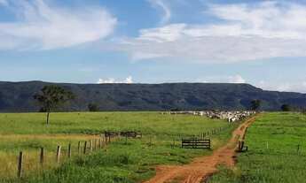Imagem 6: Fazenda Extra 151 Alqueires - Dupla Aptidão!
