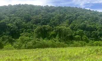 Imagem 2: Ótima Chance: Terreno à Venda em Ibiúna SP
