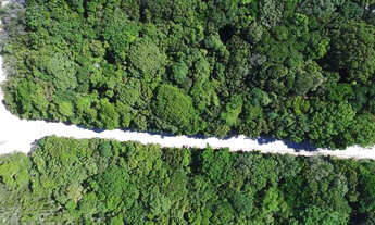 Imagem 4: Chácara Bonfim - 1000m² - Cond. de Alto Padrão