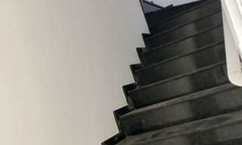 Imagem 5: CASA TÉRREA - SANTO ANTÔNIO - SP