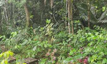 Imagem 2: Terreno para venda 10x50