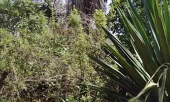 Imagem 3: Fazenda Próximo a MONTES CLAROS!!!980 HECTARES!!!