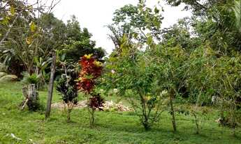 Imagem 5: Sítio em Mosqueiro, com piscina e 5 quartos