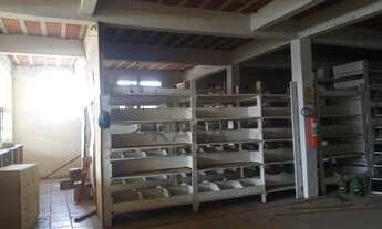 Imagem 5: Prédio comercial com área privativa em torno de 600m², três banheiros e mezanino. Terreno