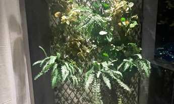 Imagem 4: Apartamento para aluguel com 28 metros quadrados com 1 quarto em Ponta do Farol - São Luís