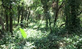 Imagem 4: Lote condom?nio pasargada