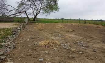 Imagem 7: Terreno RGI Centro São Francisco de Itabapoana