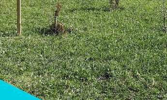 Imagem: Lote/Terreno para venda possui 200 metros