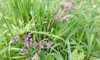 Imagem 3: GRANDE OPORTUNIDADE NÃO PERCA TEMPO VENHA JÁ... AQUI VC ENCONTRA MELHOR PREÇO DA REGIÃO