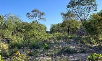 Imagem 4: Fazenda 892 Alqueires em Barra do Corda - MA