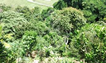 Imagem 4: Lote/Terreno para venda tem 980 metros quadrados em Cônego - Nova Friburgo - RJ