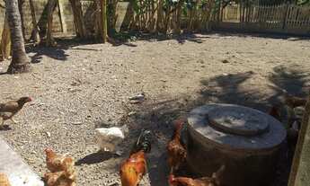 Imagem 6: Fazenda/Sítio/Chácara para venda possui 1000 metros quadrados com 4 quartos