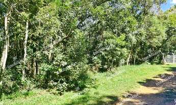 Imagem 5: Excelente Chácara Sem Benfeitorias