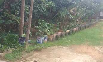 Imagem 4: Novo Gama (Vale do Sabiá) chácara 6.000m² com casa e pomar R$ 145.000