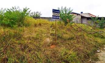 Imagem 7: Lote com 252 m², próximo da BR - Arlindo Villaschi, Viana