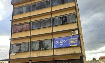 Imagem: Kit 601 samambaia norte