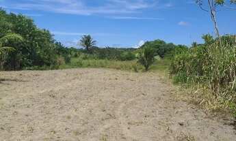 Imagem 6: Sítio em goiana