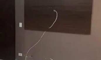 Imagem 5: Apartamento para aluguel com 48 metros quadrados com 2 quartos em Centro - Guarulhos - SP