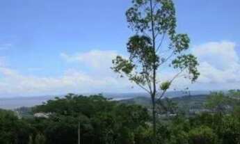 Imagem 3: Terreno em Vila Nova