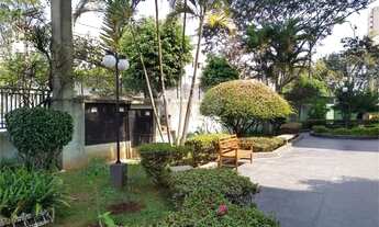 Imagem 2: Excelente apartamento com dois amplos dormitórios no Lauzane Paulista