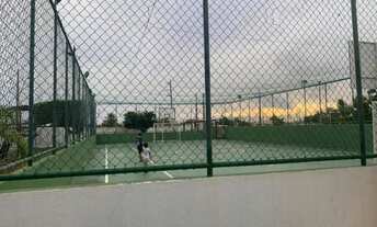 Imagem 14: Palm Ville 66752