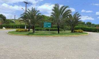 Imagem 7: Lote na etapa 1 no Fazenda Real