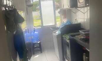 Imagem 3: Doce Vida Primavera / Rosa Elze