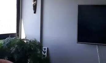 Imagem 6: VENDO Apartamento com 2 dormitórios