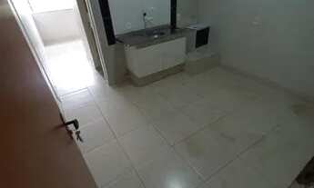 Imagem 2: Kit 601 samambaia norte