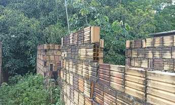 Imagem 6: Casa no Nova Cidade