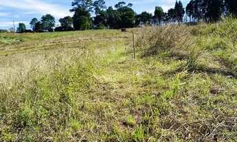 Imagem 6: Lote/Terreno para venda possui 500 metros quadrados em Centro (Caucaia do Alto) - Cotia