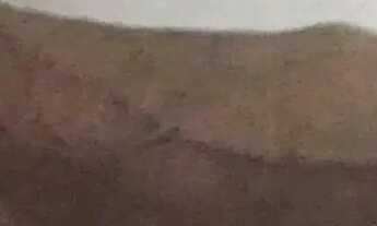 Imagem: Dividir aluguel