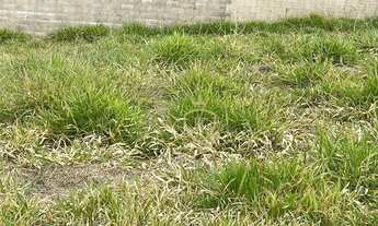 Imagem 2: Terreno à venda, 490 m² por R$ 279.000,00 - Condomínio Mirante dos Ipês - Salto/SP