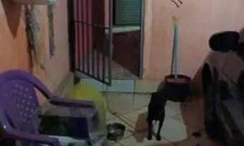 Imagem 5: Casa qn 8f dois quartos mais um quarto dep