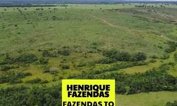 Imagem: Fazenda dupla aptidão região sul do Tocantins