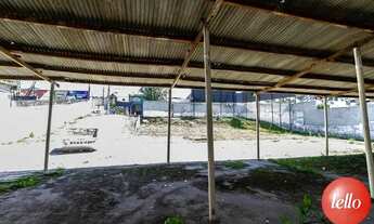 Imagem 7: São Bernardo do Campo - Terreno Padrão - Jardim Três Marias