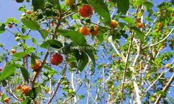 Imagem 5: Sítio - Piau MG