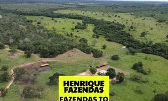 Imagem 3: Fazenda dupla aptidão região sul do Tocantins ....