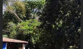 Imagem 5: Sítio com 22.800m2 em Bady Bassitt