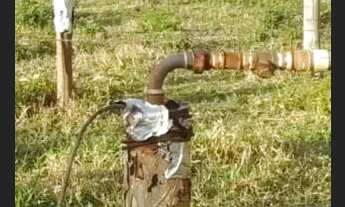 Imagem 4: Fazendinha Produtiva !!!Aceita caminhão ,Veículo,chácara ,imóvel urbano.